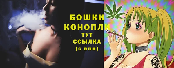 стаф Майский