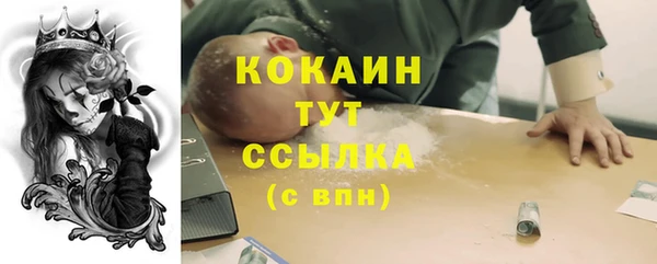 стаф Майский