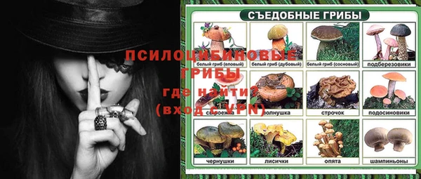 стаф Майский