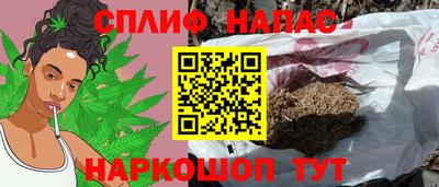 скорость Пугачёв