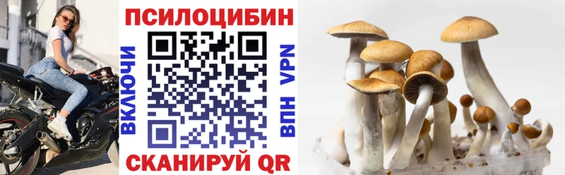 shop Telegram  Похвистнево  Галлюциногенные грибы GOLDEN TEACHER 