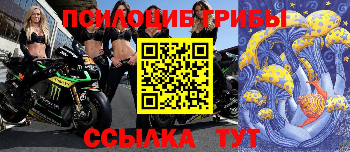 Галлюциногенные грибы MAGIC MUSHROOMS Похвистнево